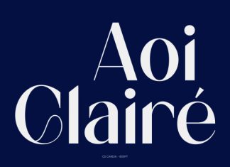 CS Cardia – Elegant Sans Serif Font preview image 2