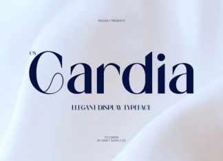 CS Cardia – Elegant Sans Serif Font preview image 1