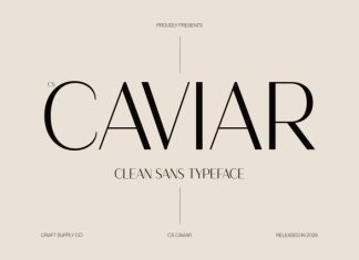 CS Caviar – Clean Sans Serif Font preview image 1