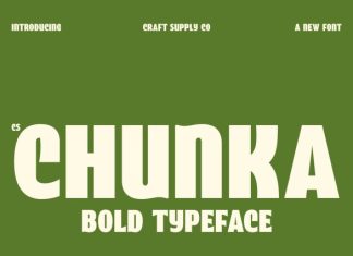 CS Chunka – Bold Sans Serif Font preview image 1
