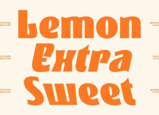 CS Costin – Bold Sans Serif Font preview image 2