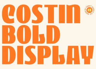 CS Costin – Bold Sans Serif Font preview image 1