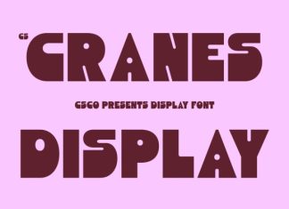 CS Cranes – Bold Sans Serif Font preview image 1