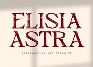 CS Crimson Stamp Font preview image 3