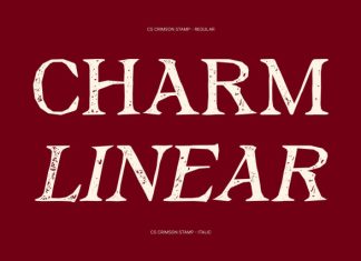 CS Crimson Stamp Font preview image 2