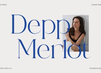 CS Cristia – Elegant Serif Font preview image 3