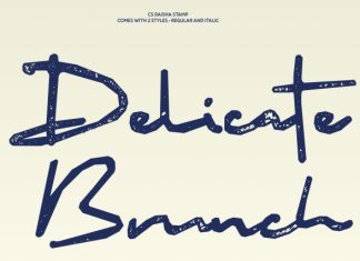 CS Daisha Stamp Font preview image 2