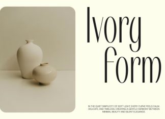 CS Dakora – Elegant Sans Serif Font preview image 2