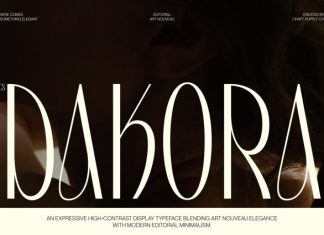 CS Dakora – Elegant Sans Serif Font preview image 1