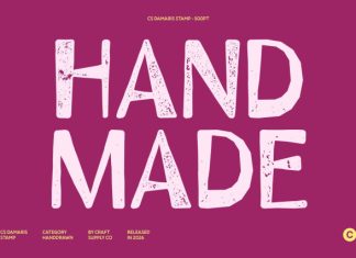 CS Damaris Stamp Font preview image 3