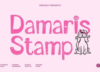 CS Damaris Stamp Font preview image 1