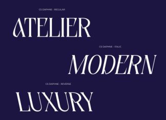 CS Daphne – Contemporary Font preview image 3