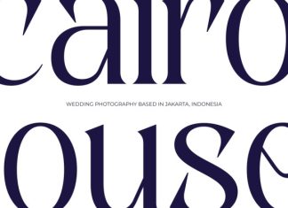 CS Daphne – Contemporary Font preview image 2
