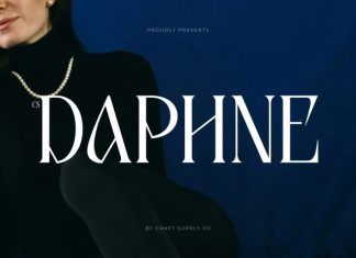 CS Daphne – Contemporary Font preview image 1