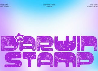 CS Darwin Stamp Font preview image 1