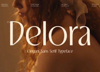 CS Delora – Elegant Sans Serif Font preview image 1