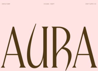 CS Elmia – Modern Serif Font preview image 3