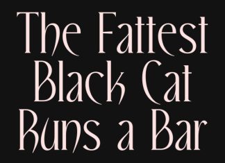 CS Elmia – Modern Serif Font preview image 2