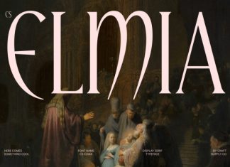 CS Elmia – Modern Serif Font preview image 1