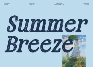 CS Eloise Stamp Font preview image 2