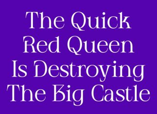 CS Frode – Modern Serif Font preview image 3