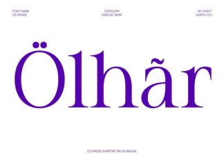 CS Frode – Modern Serif Font preview image 2