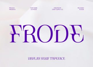 CS Frode – Modern Serif Font preview image 1
