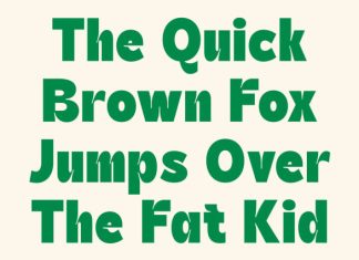 CS Garbo – Inktrap Font preview image 2