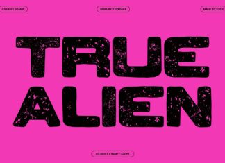 CS Geist Stamp Font preview image 2