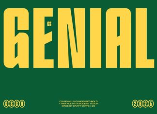 CS Genial – Condensed Font preview image 1