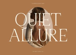 CS Gerda – Elegant Serif Font preview image 3