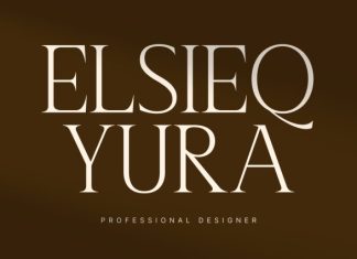 CS Gerda – Elegant Serif Font preview image 2
