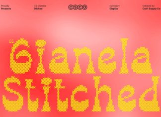 CS Gianela Stitched Font preview image 1