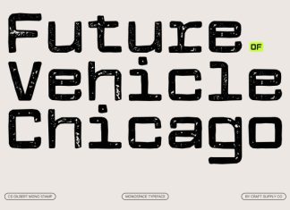 CS Gilbert Mono Stamp Font preview image 3