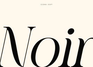 CS Ginva – Stylish Serif Font preview image 2