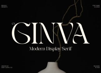 CS Ginva – Stylish Serif Font preview image 1