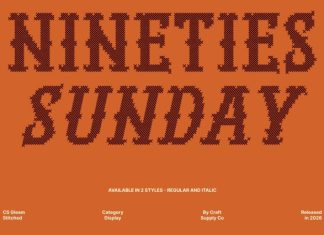 CS Gleam Stitched Font preview image 2
