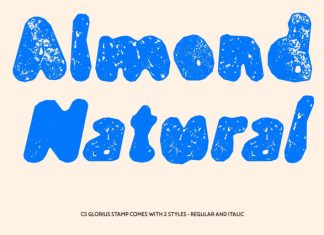 CS Glorius Stamp Font preview image 3