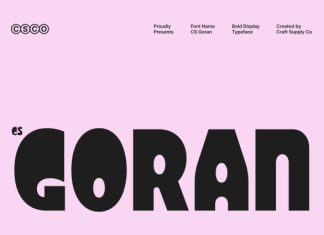 CS Goran – Bold Sans Serif Font preview image 1