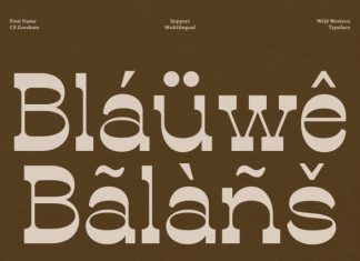 CS Gresham – Western Display Font preview image 3
