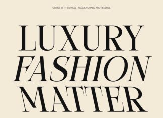 CS Grisetta – Modern Serif Font preview image 3