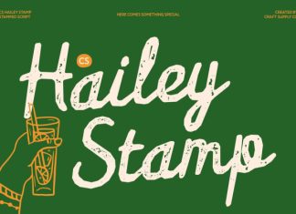 CS Hailey Stamp Font preview image 1
