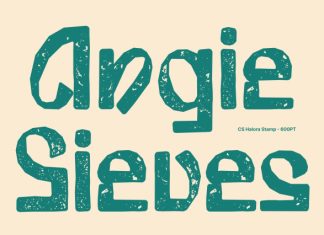 CS Halora Stamp Font preview image 2