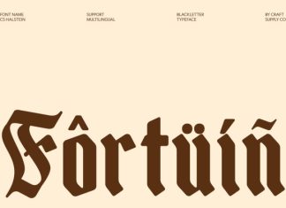 CS Halstein – Blackletter Font preview image 2