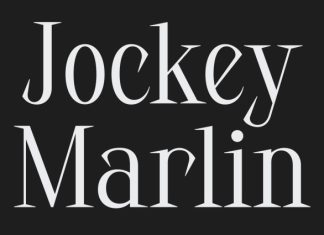 CS Harith – Modern Serif Font preview image 2