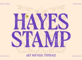 CS Hayes Stamp Font preview image 1