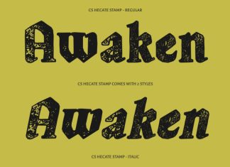 CS Hecate Stamp Font preview image 3
