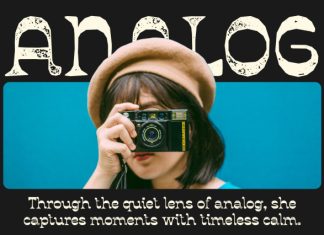CS Homer Stamp Font preview image 3