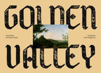 CS Kaiser Stamp Font preview image 3