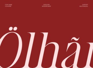 CS Katnis – Modern Serif Font preview image 2